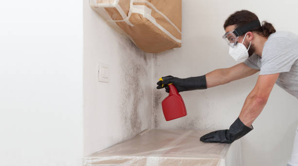 Professional Bathroom Mold Removal technician working in Elberon, VA